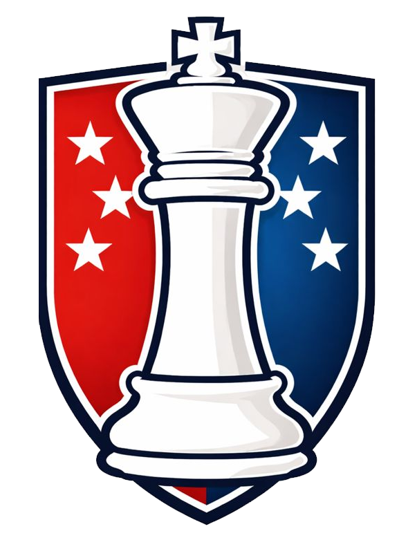 Company Logo, featuring a white chess king over a red and blue shield.